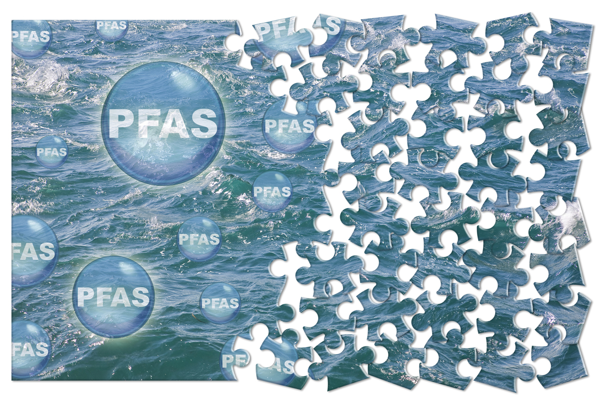 PFAS Restriction Update European Sealing Association