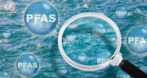 PFAS molecules under a microscope